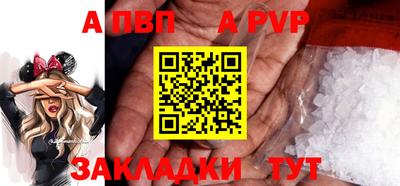 гашик Шелехов