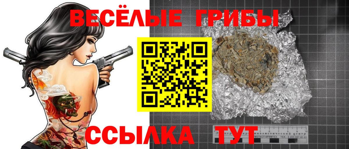 Галлюциногенные грибы Psilocybe Ахтубинск