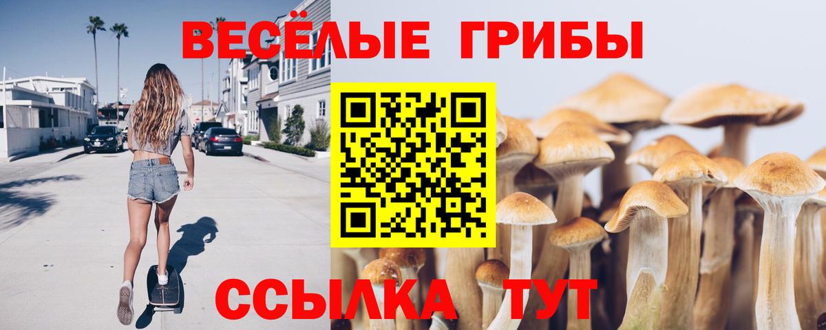 Ахтубинск  закладки  Вход с VPN  Галлюциногенные грибы Magic Shrooms 